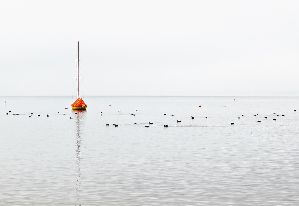 The Wig Cottage wigs in las vegas 2510 Saint Rose Parkway suite 120